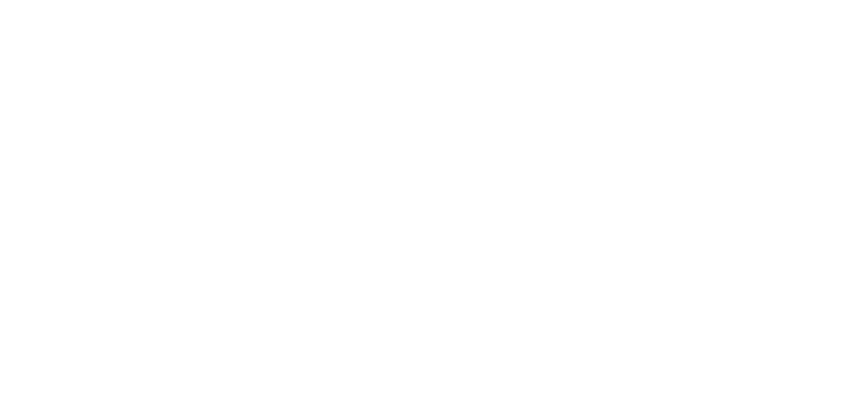 Pay with Stripe